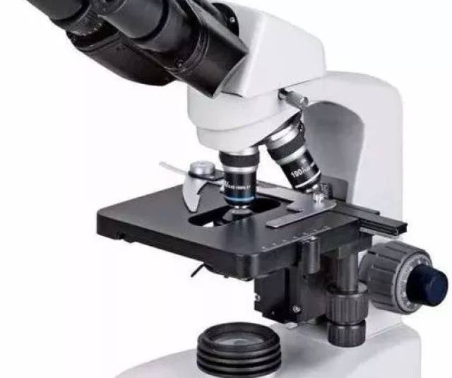 元旦雪乡徒步,周末探班新剧,理解未来讲座,11.16 北京资讯