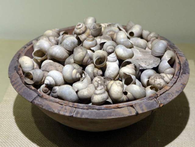 柳州白莲洞里的螺蛳壳遗迹距今 已逾万年,这足以证明柳州人吃螺蛳历史