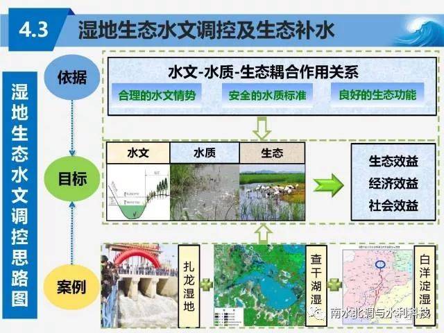 水论坛 章光新教授:湿地生态水文学研究进展与战略布局