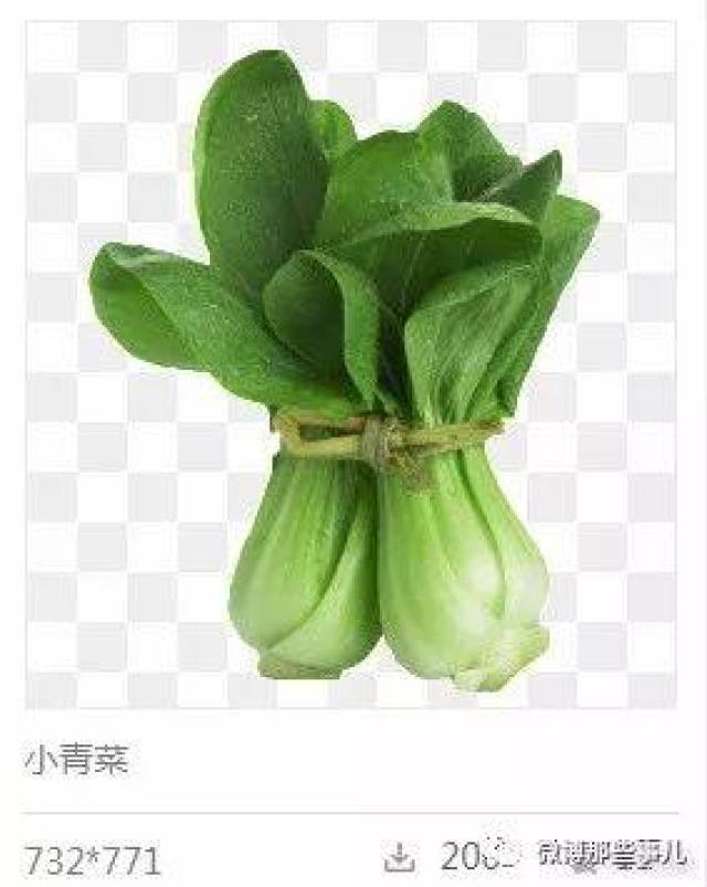 南方人口中的青菜是啥_南方青菜指的是什么菜(2)