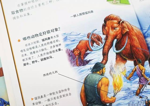 那些见多识广的孩子,都是看什么书长大的?丨精选团购