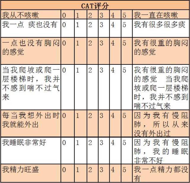 呼吸困难指数 (modified british medical research council,mmrc)