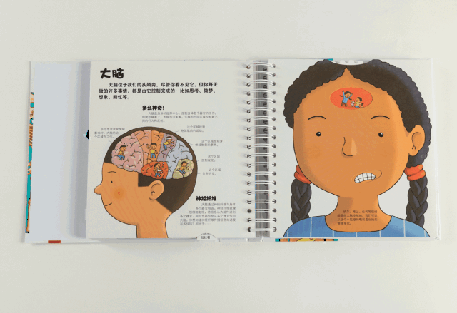 的幼儿人体百科,它设置了许多有趣的机关,吸引孩子动手去玩,和书互动