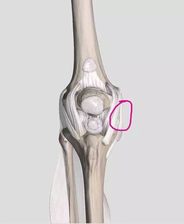 内侧韧带或支持带损伤