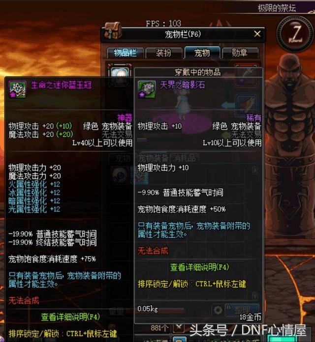 DNF极限祭坛真的可以出宠物装备,这属性还很