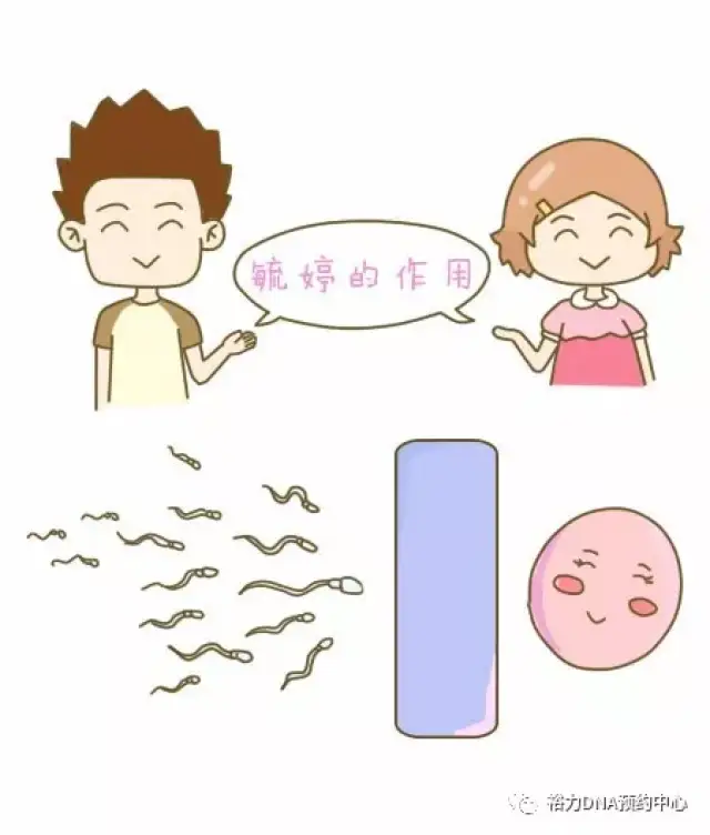 8c5e177a7a7847cfb8d9c77831355cae.jpg