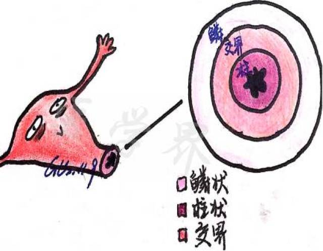 宫颈癌疫苗都来了,这些事你千万得知道啊!