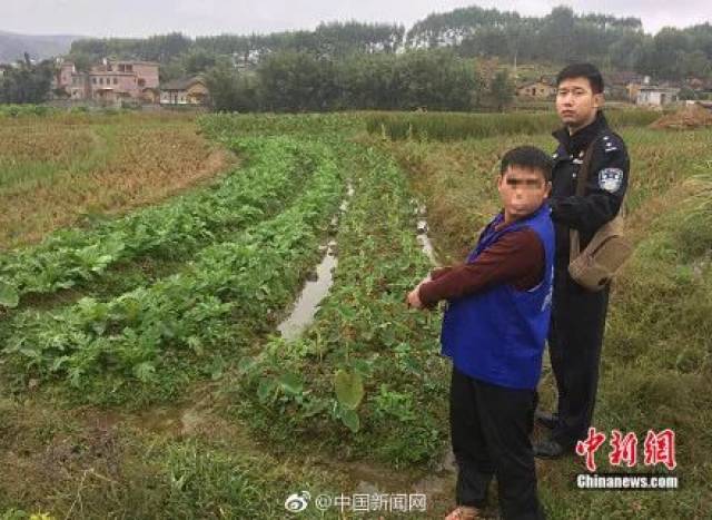 中国队请来意大利教练,结果把人家带出了世界杯