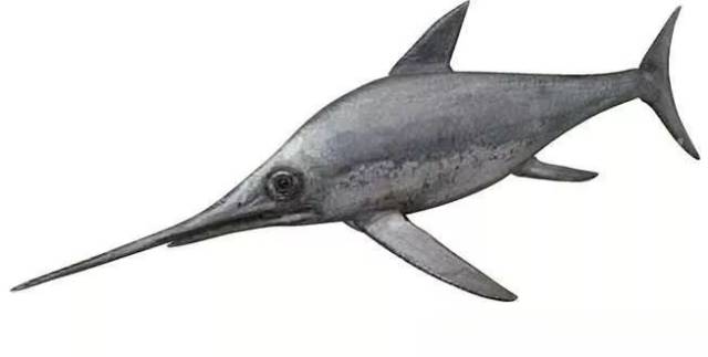 真鼻龙:侏罗纪鱼龙类海洋爬行动物_手机搜狐网