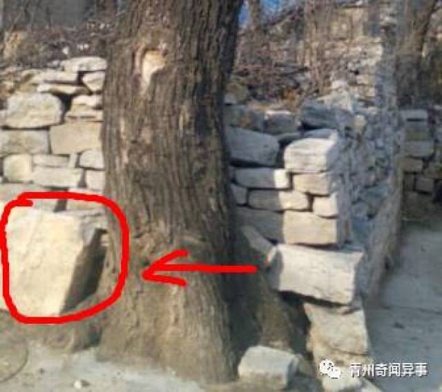 有人用土布袋压死了西股村的一位"皇儿" 后来