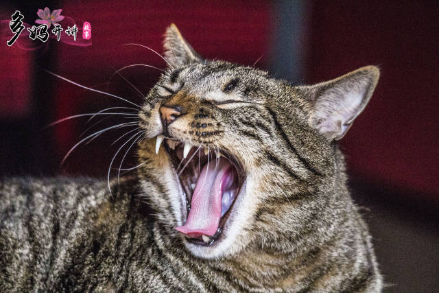 「儿童百科」为什么刚睡醒时会全身没劲?