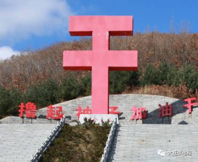 段科室党总支组织开展走进大梨树学习毛丰美主题党日活动