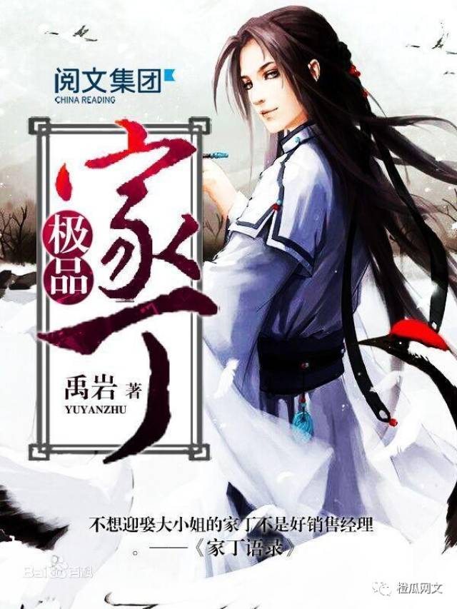 极品家丁，秦风短剧免费观看指南，极品家丁，秦风短剧免费观看攻略