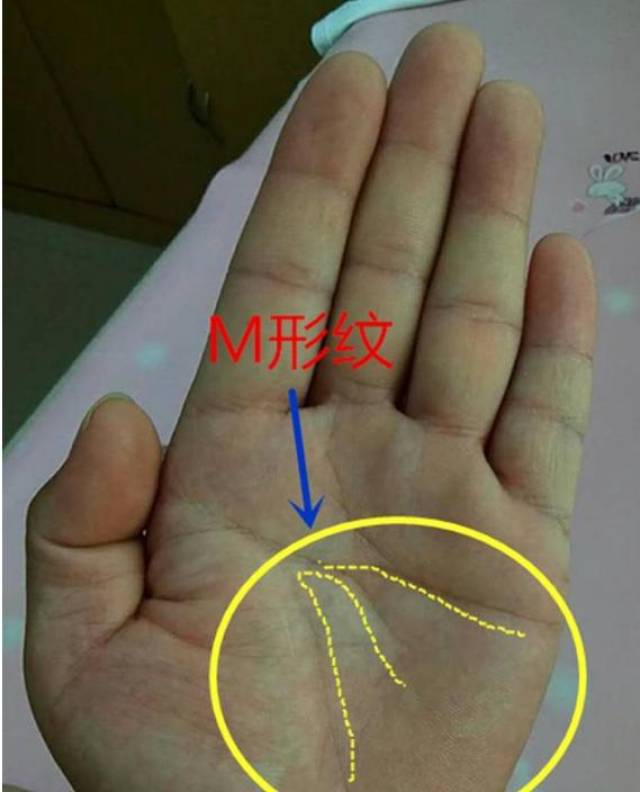 手相中掌纹这样的人,迟早都会发财,享清福!