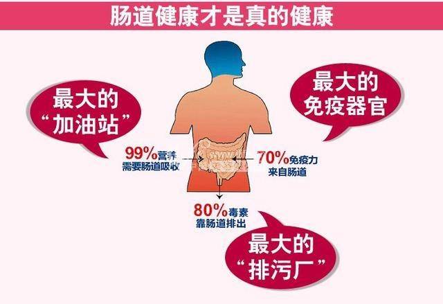 万病始于肠道 清肠排毒你应该明白这些事