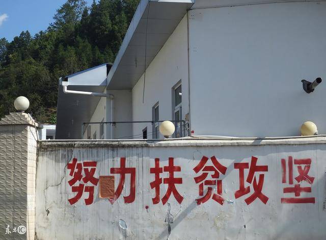 贫困户人均年收入标准_标准体重身高对照表(3)