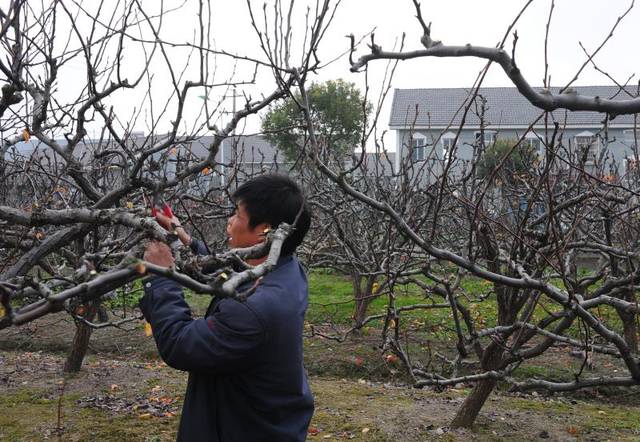 不忘普惠初心 牢记金融使命 --农行宁波分行践