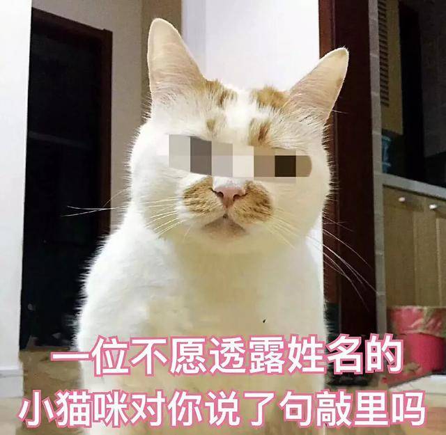下塞什么聋成语_成语故事简笔画(2)