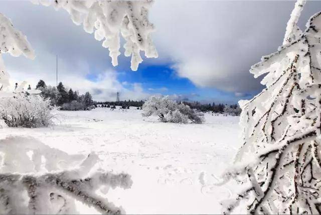 赏别样雪景,拍美景大片儿,深度探险延吉雪岭处女地!