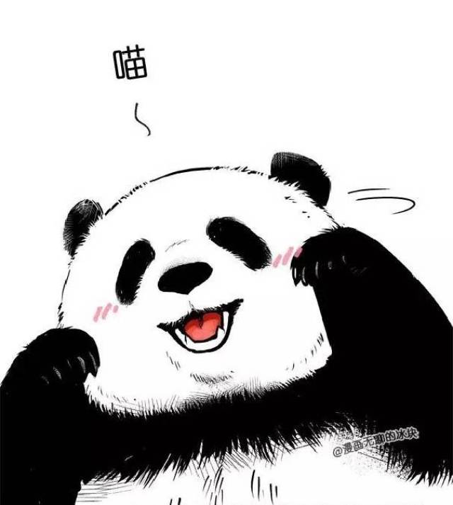 【胖达桑】朋友圈最冷的漫画!没有之一!