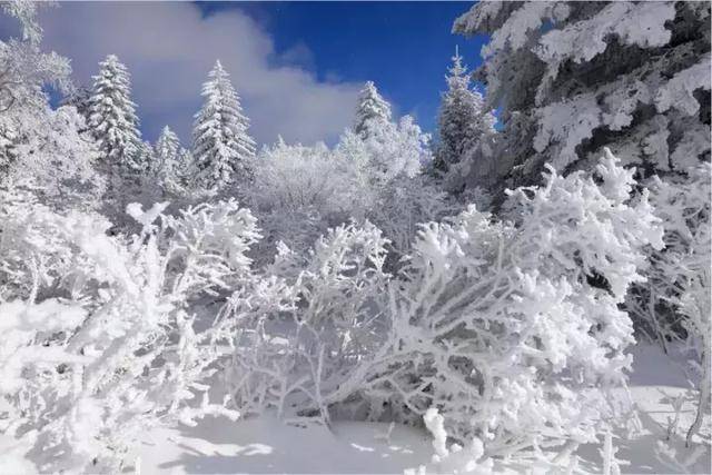 赏别样雪景,拍美景大片儿,深度探险延吉雪岭处女地!