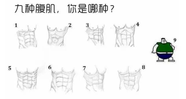 腹肌分为九种,你是哪一种?