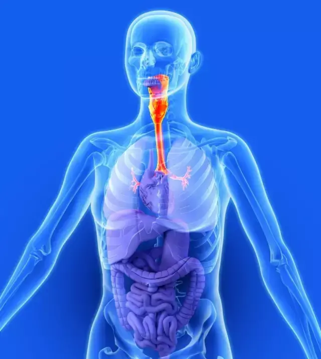 心脑肺复苏概念图片_纵览新闻