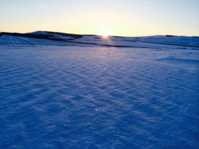 冬日雪景:内蒙古呼伦贝尔大草原的雪