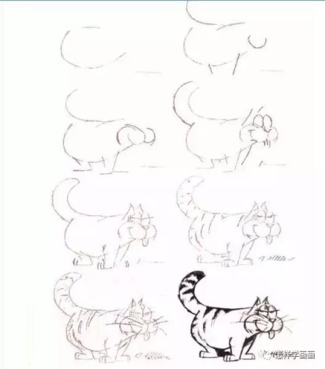 教你画20种猫的素描结构步骤图