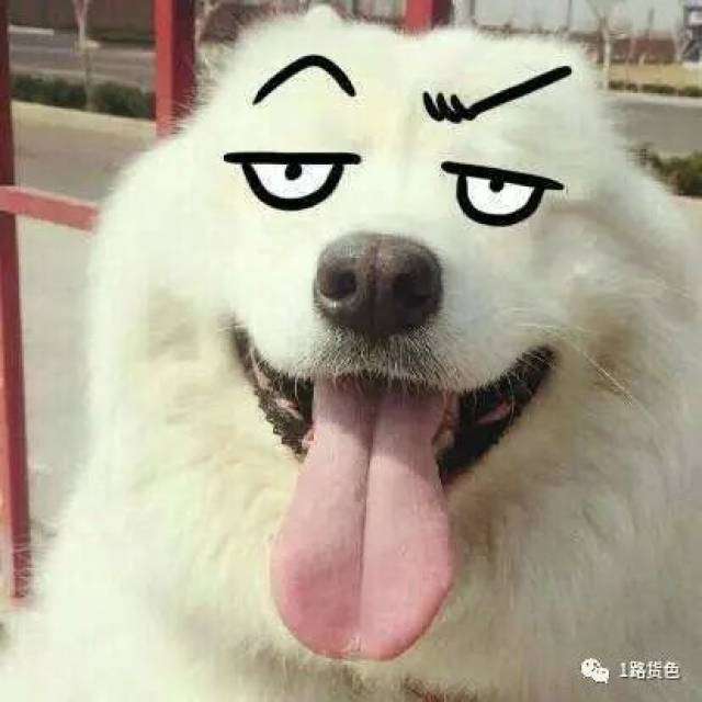 敢看吗?刺激心脏的反杀电影,让你大呼过瘾!