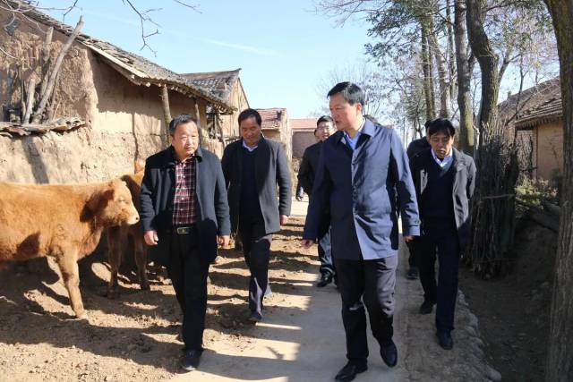 【关注】崇信县举办平凉红牛(南部赛区)赛牛大会