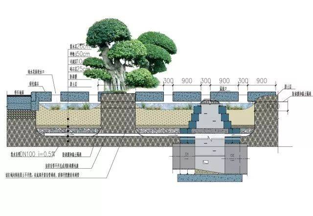 新兴产业领跑者丨让国博海绵城市改造工程告诉你