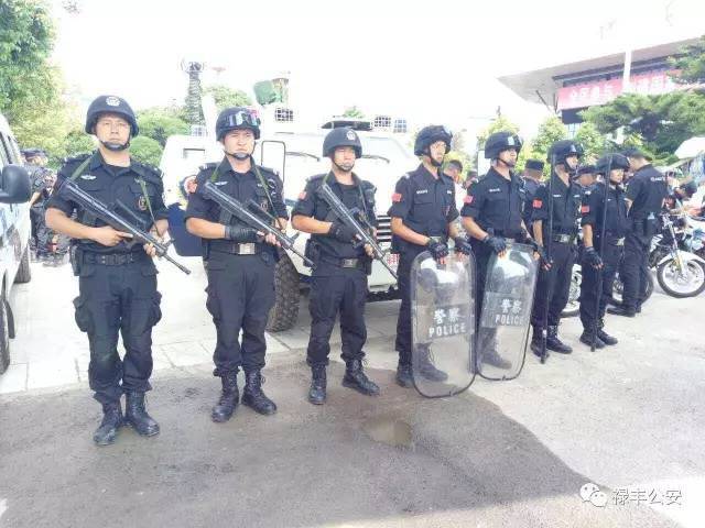 禄丰县公安局巡特警大队现面向社会公开招聘辅警19人