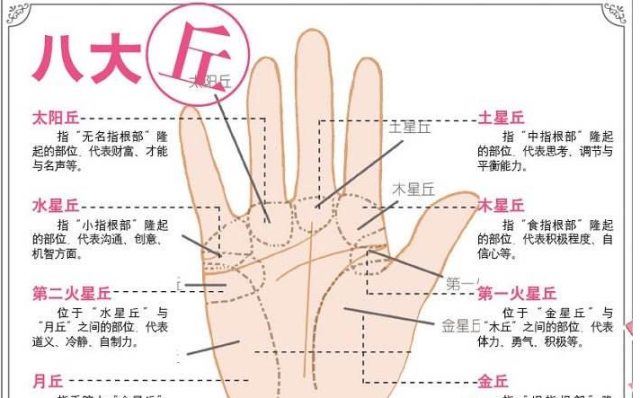 手掌上各个纹路究竟代表什么意思,你知道么