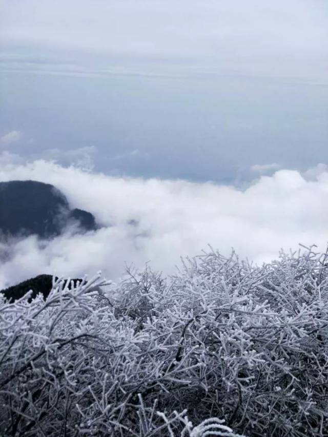 峨眉山下雪了!小编实拍大片曝光!