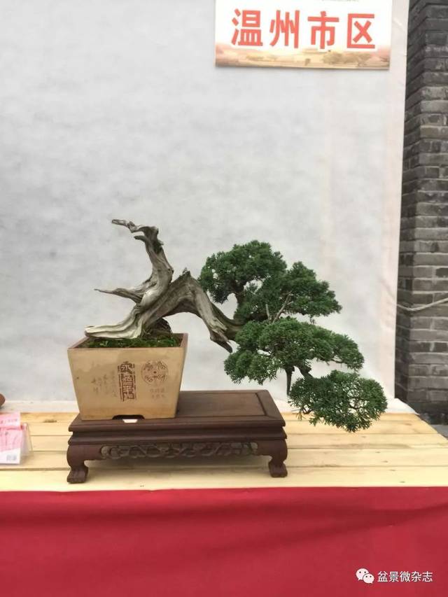 温州市第十二届盆景博览会精彩展品