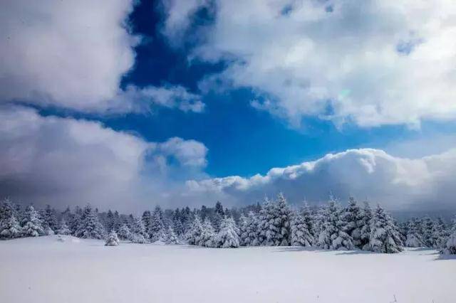 太震撼!延吉最新雪景大片儿出炉,再次美出新高度!