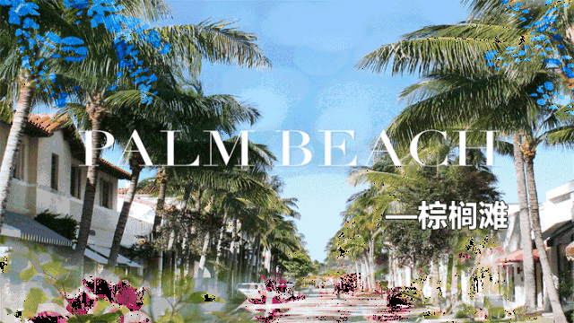 palm beach