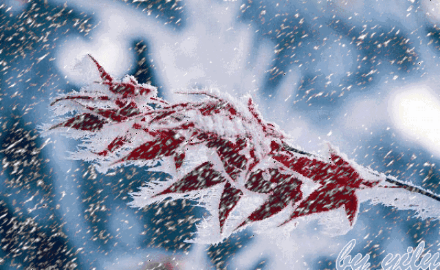 小雪|现在刚刚好