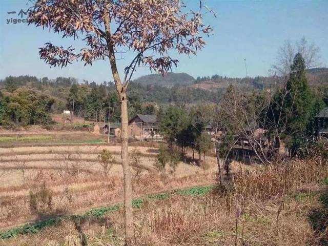 通江县新场镇巴州沟村