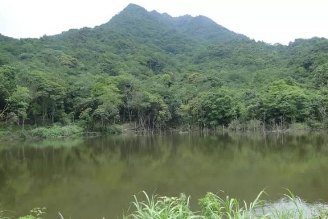 环大明山养生旅游圈天子地景观