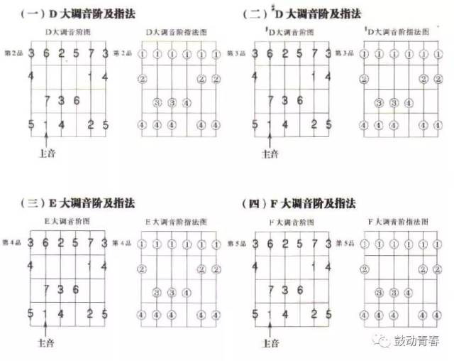 【音乐常识】为什么不管什么乐器,一定要勤练音阶?