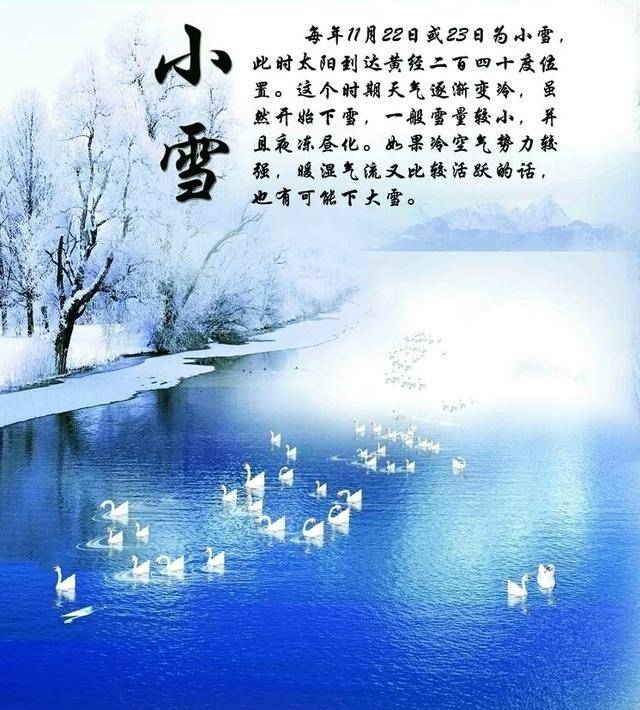 今日小雪,祝你幸福安康!