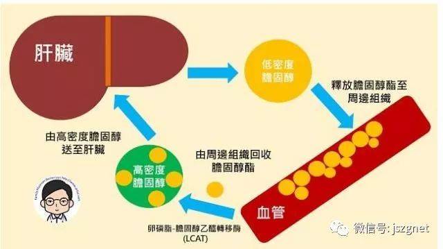 人口密度高做什么生意_gis做人口密度图(3)