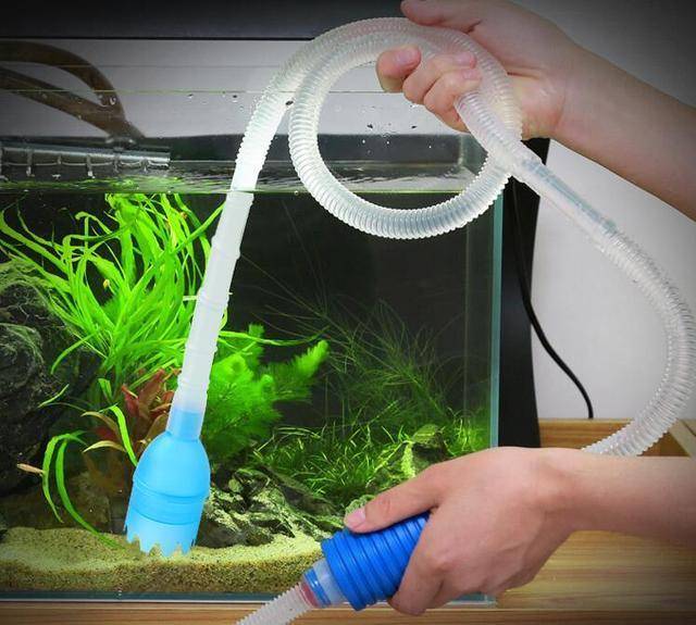 怎么养鱼不换水 72385247f88f4095ad98cbab74ebdc2c.jpeg