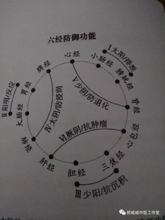 北京大学医学部经络脏腑气血讲座(收藏)