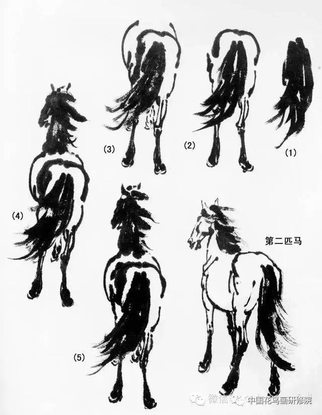 画马超级教程:徐悲鸿画马技法