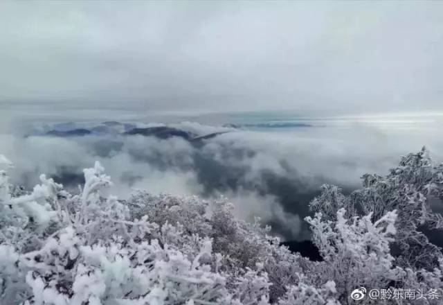 雪后的贵阳 遵义正安石笋峰 来源:铜仁网 丹寨龙泉山 来源:@黔东南