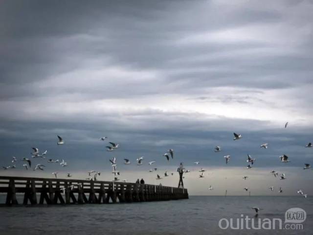 er扇贝节一日!品新鲜海鲜!参观诺曼底登陆战朱