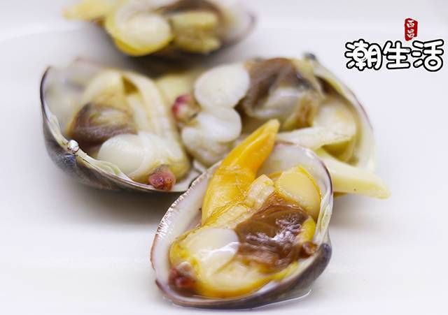 小贝壳